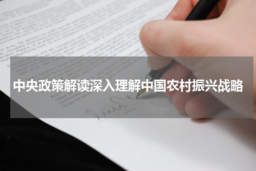 中央政策解读深入理解中国农村振兴战略