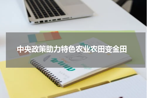  中央政策助力特色农业农田变金田