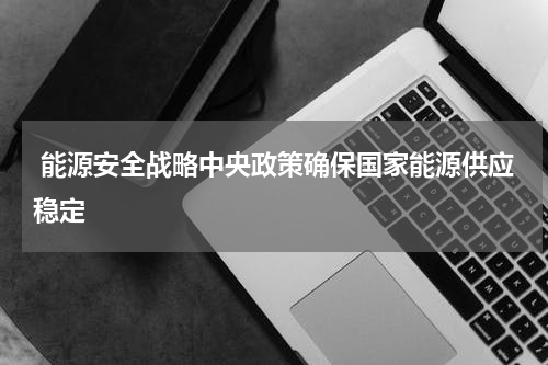  能源安全战略中央政策确保国家能源供应稳定