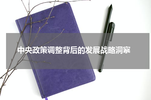  中央政策调整背后的发展战略洞察