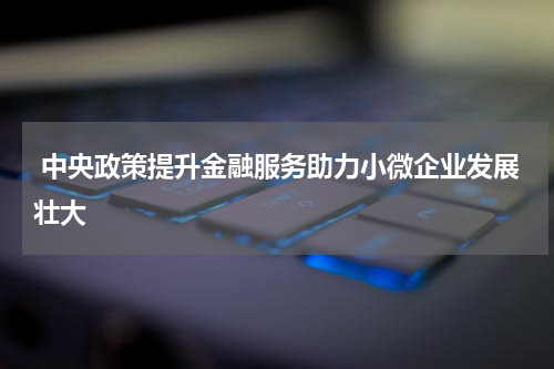  中央政策提升金融服务助力小微企业发展壮大