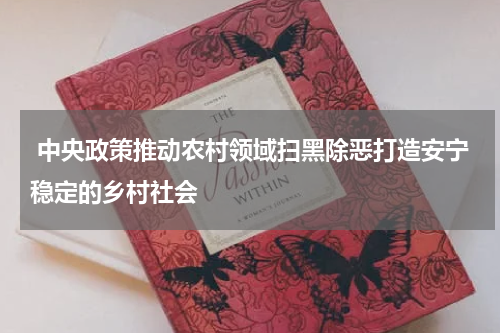  中央政策推动农村领域扫黑除恶打造安宁稳定的乡村社会