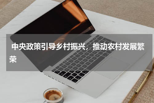  中央政策引导乡村振兴，推动农村发展繁荣
