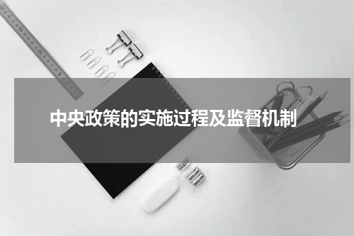  中央政策的实施过程及监督机制