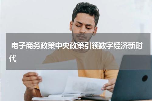  电子商务政策中央政策引领数字经济新时代