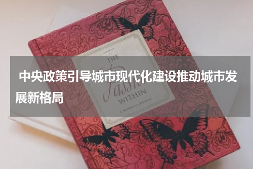  中央政策引导城市现代化建设推动城市发展新格局