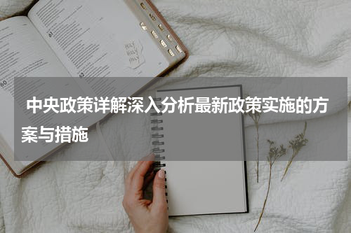  中央政策详解深入分析最新政策实施的方案与措施