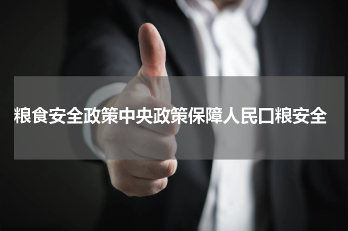  粮食安全政策中央政策保障人民口粮安全