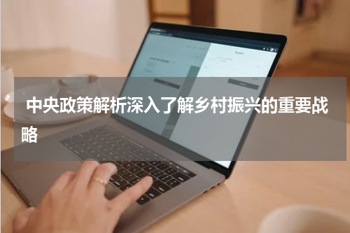  中央政策解析深入了解乡村振兴的重要战略
