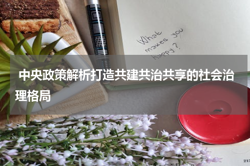  中央政策解析打造共建共治共享的社会治理格局