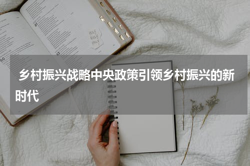  乡村振兴战略中央政策引领乡村振兴的新时代