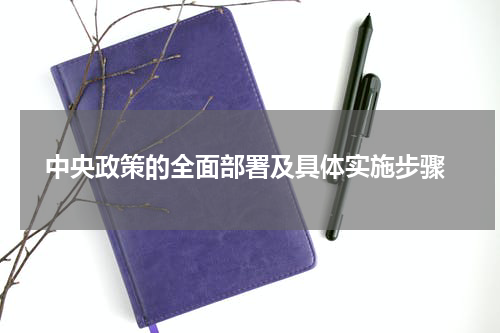  中央政策的全面部署及具体实施步骤