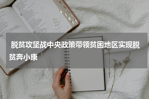  脱贫攻坚战中央政策带领贫困地区实现脱贫奔小康