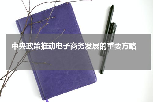  中央政策推动电子商务发展的重要方略  