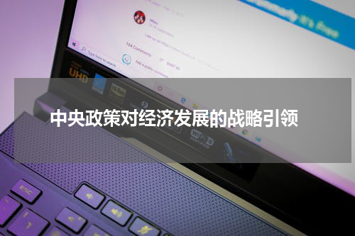  中央政策对经济发展的战略引领