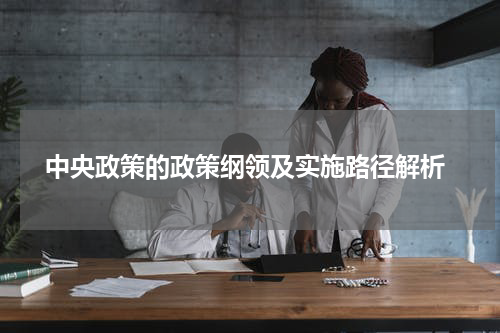 中央政策的政策纲领及实施路径解析
