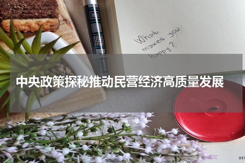  中央政策探秘推动民营经济高质量发展