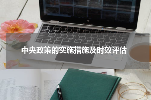  中央政策的实施措施及时效评估