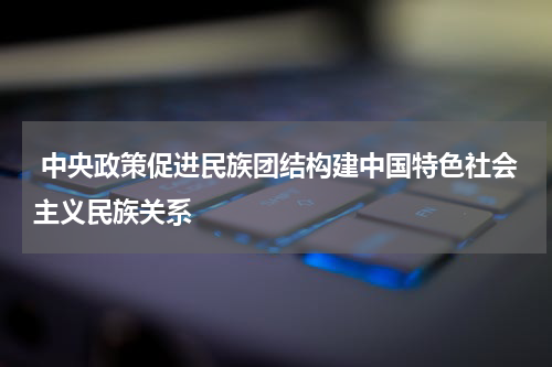  中央政策促进民族团结构建中国特色社会主义民族关系
