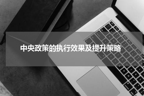 中央政策的执行效果及提升策略