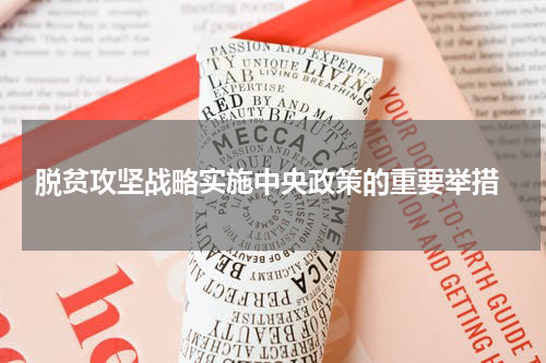  脱贫攻坚战略实施中央政策的重要举措