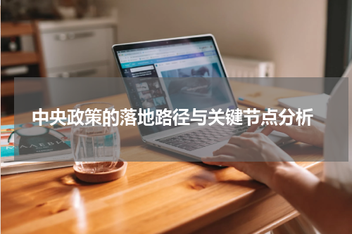  中央政策的落地路径与关键节点分析