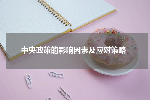  中央政策的影响因素及应对策略