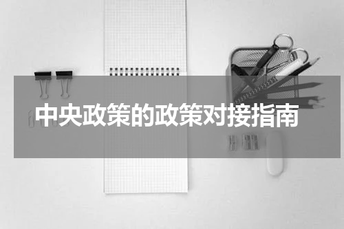  中央政策的政策对接指南