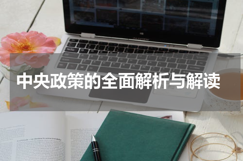  中央政策的全面解析与解读