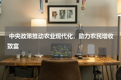  中央政策推动农业现代化，助力农民增收致富