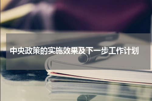  中央政策的实施效果及下一步工作计划