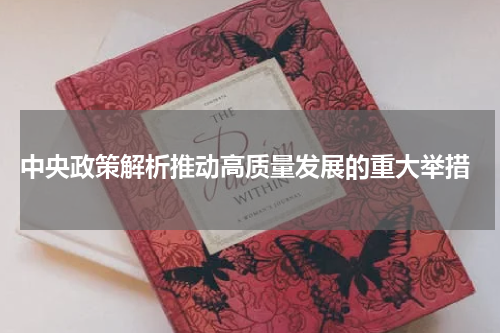  中央政策解析推动高质量发展的重大举措