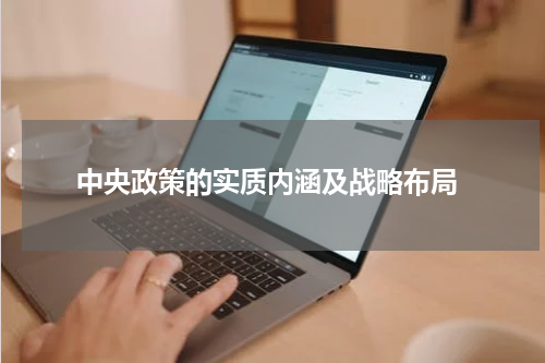  中央政策的实质内涵及战略布局