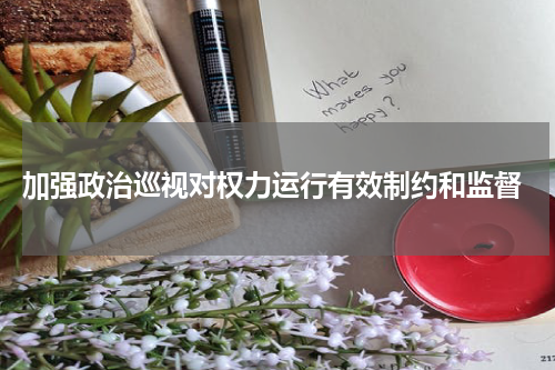  加强政治巡视对权力运行有效制约和监督