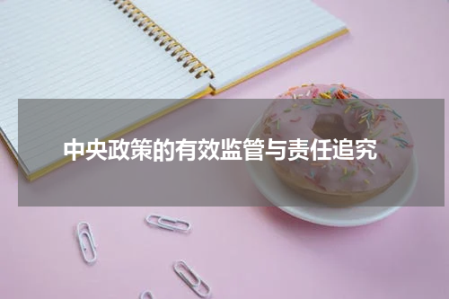  中央政策的有效监管与责任追究