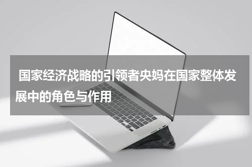  国家经济战略的引领者央妈在国家整体发展中的角色与作用